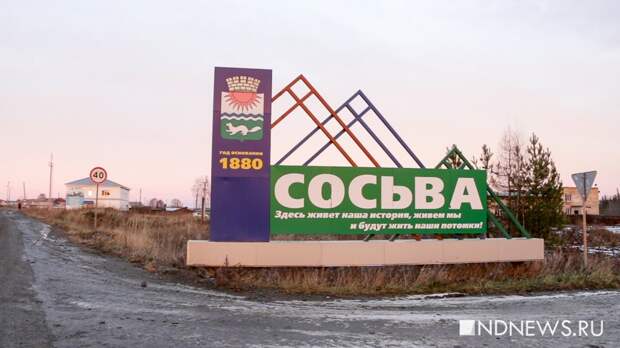 «Эффект не тот», – четыре свердловских муниципалитета отказались от турналога