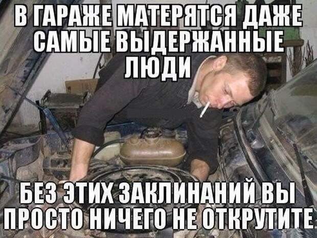 Забавные картинки с надписью для поднятия настроения (12 фото) Забавные картинки с надписью для поднятия настроения (12 фото)