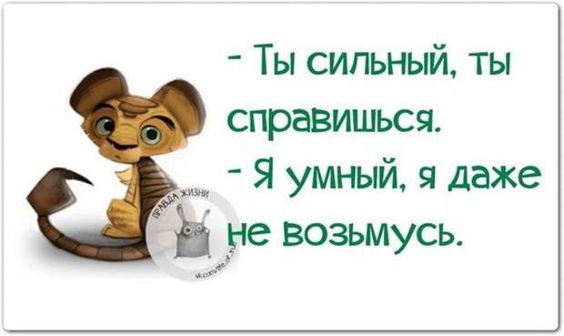 Забавные фразочки в картинках (25 фразочек) » RadioNetPlus.ru развлекательный портал