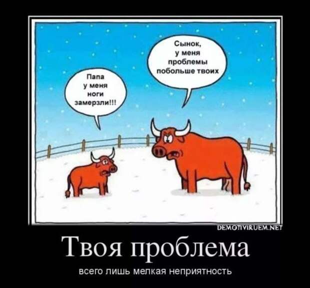 Прикольные демотиваторы с надписями. Подборка chert-poberi-dem-chert-poberi-dem-21080416012021-9 картинка chert-poberi-dem-21080416012021-9