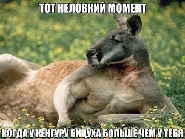 Всяко - разно 12 )))