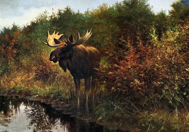 �������� ��� ���������.