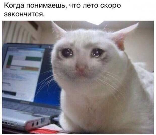 Смешные анекдоты в начале недели (12 шт)