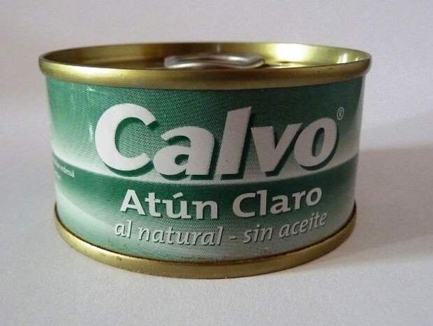 Продукты, которые вредны для вашей кошки