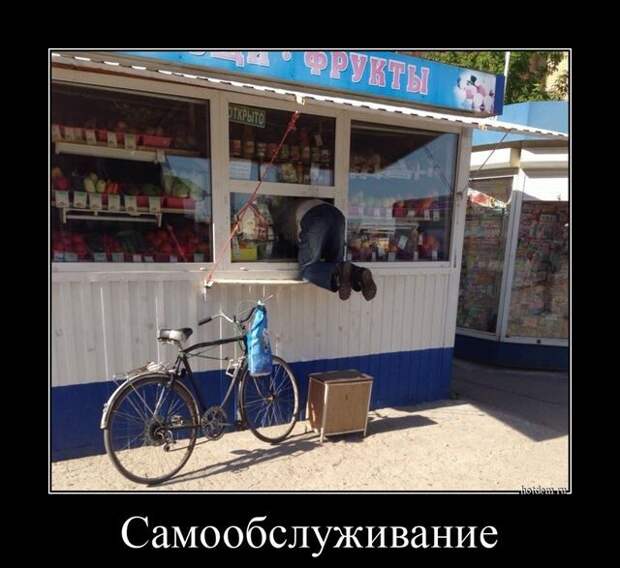 Свежих демотиваторов пост (13 фото)