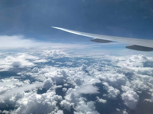 Туристов могут развернуть прямо в аэропорту из-за долгов