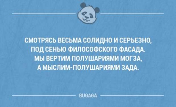 Забавные фразы в картинках с надписями. Часть 38 (20 шт)