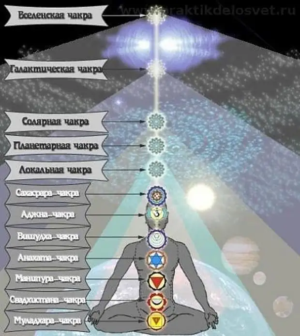 12 чакр человека в картинках