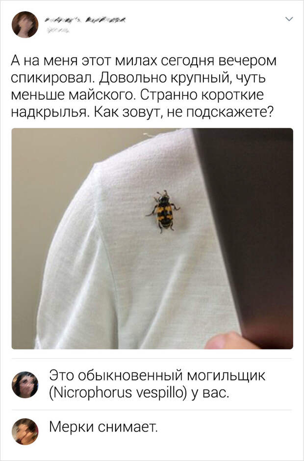 www.vsyako.net