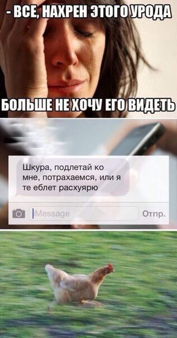 wDzEieRCtZU