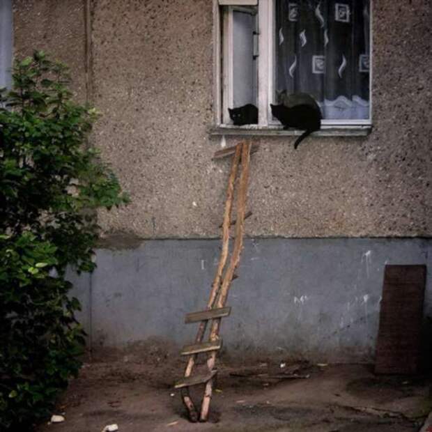 Строительные приколы ошибки и маразмы. Подборка chert-poberi-build-chert-poberi-build-20340913072020-16 картинка chert-poberi-build-20340913072020-16