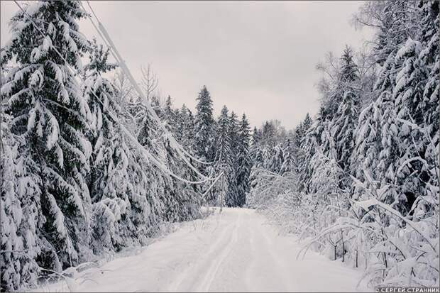 Фото Гжель Провода, покрытые снегом