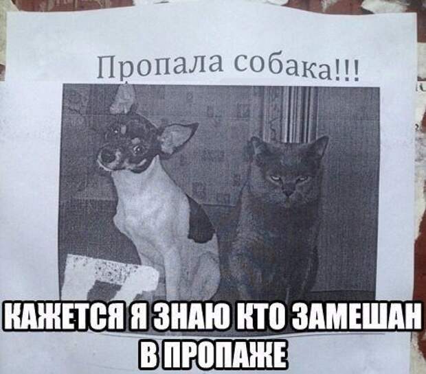 Позитивный пост+142 Позитивный пост+142