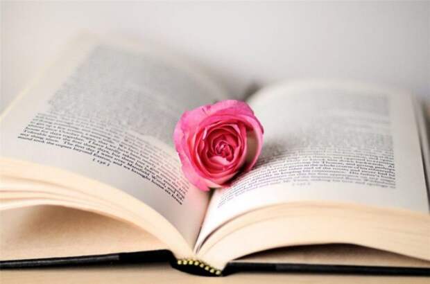 Книга. Фото: из открытых источников