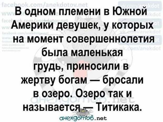 Началось в колхозе утро картинки