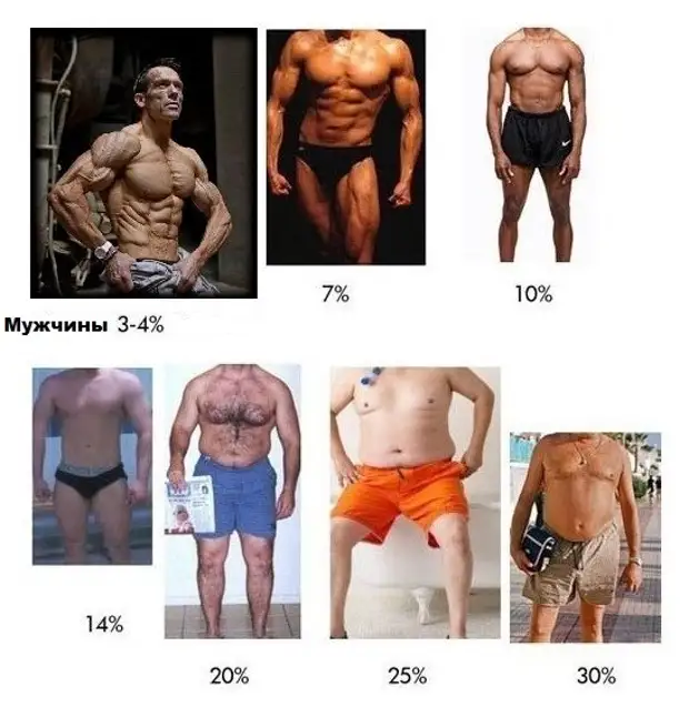 Сколько процент жира в организме. 20 Подкожного жира. 10% Bodyfat. Процент жира. % Жира в организме.