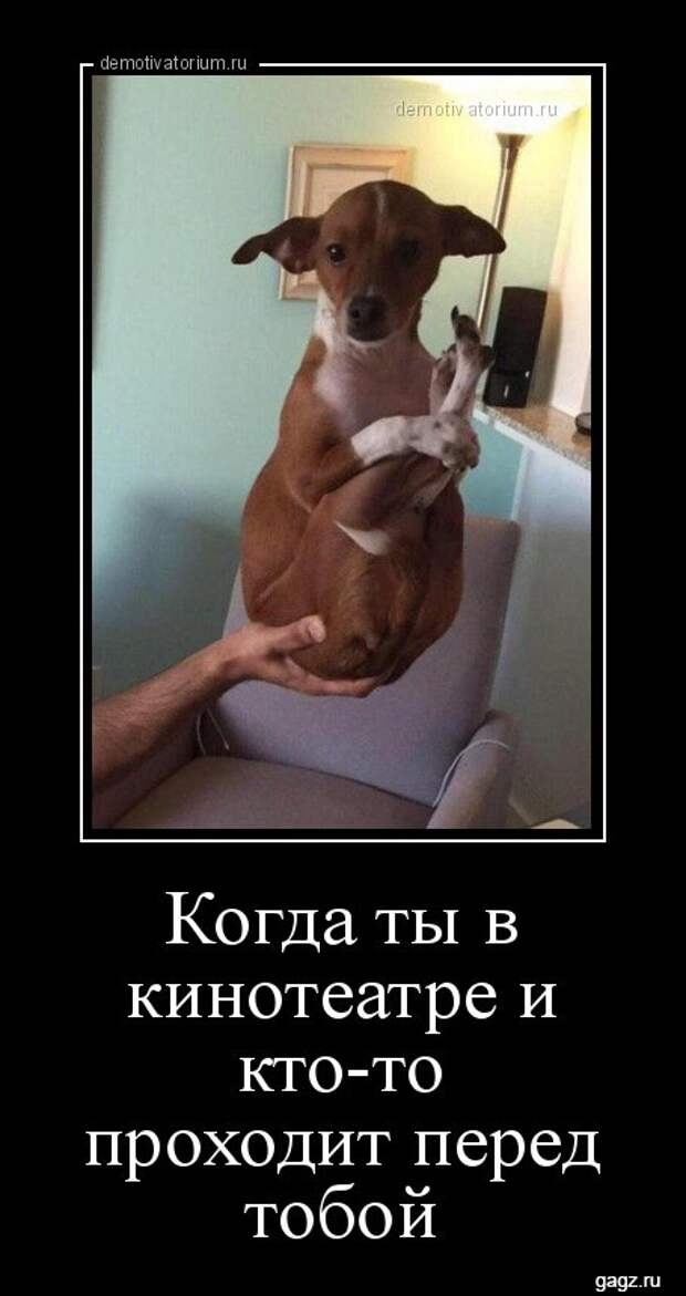 demotivators_funny_pics_gagz_ru_001184
