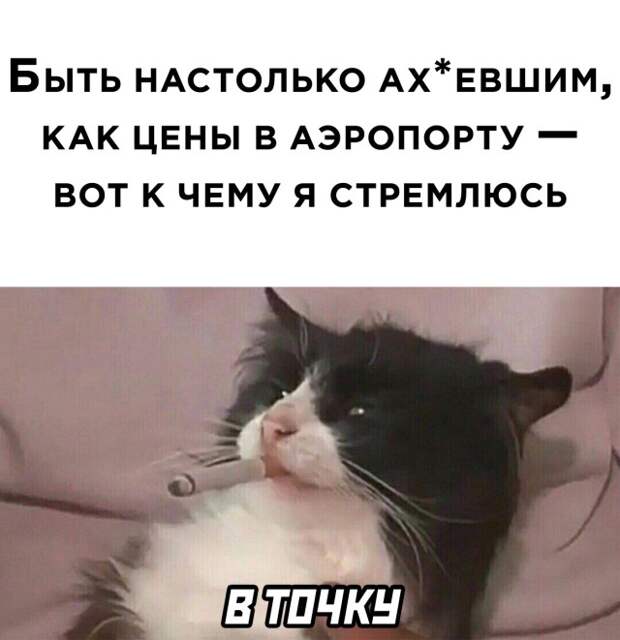 Смешные картинки 19 октября 2021 года