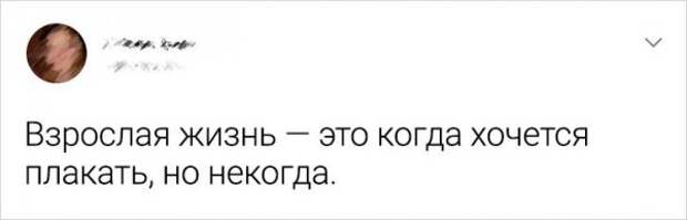 твит про плачь