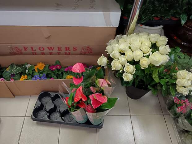 В Туле перед выросли цены на цветы