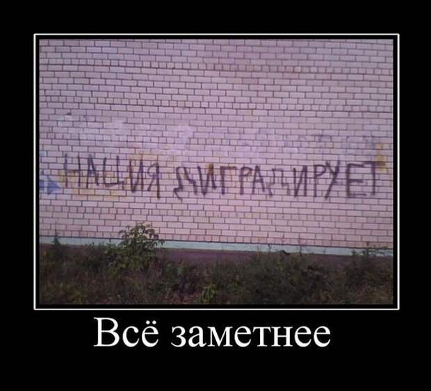 Демотиваторы (30 фото)