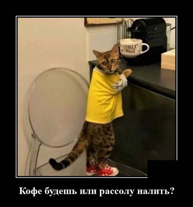 Демотиваторы 11 июня 2021 года