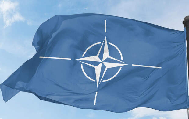 Кабмин ФРГ: заявление Шольца об Украине в НАТО было неверно понято