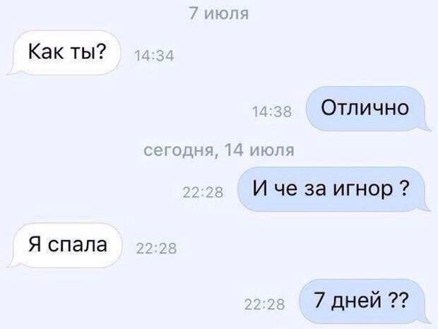 Прикольные картинки. Дневной выпуск (51 фото)