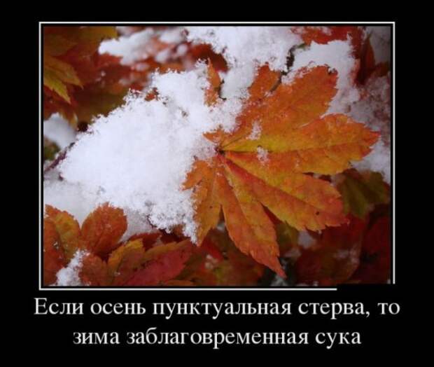 Обо всём.