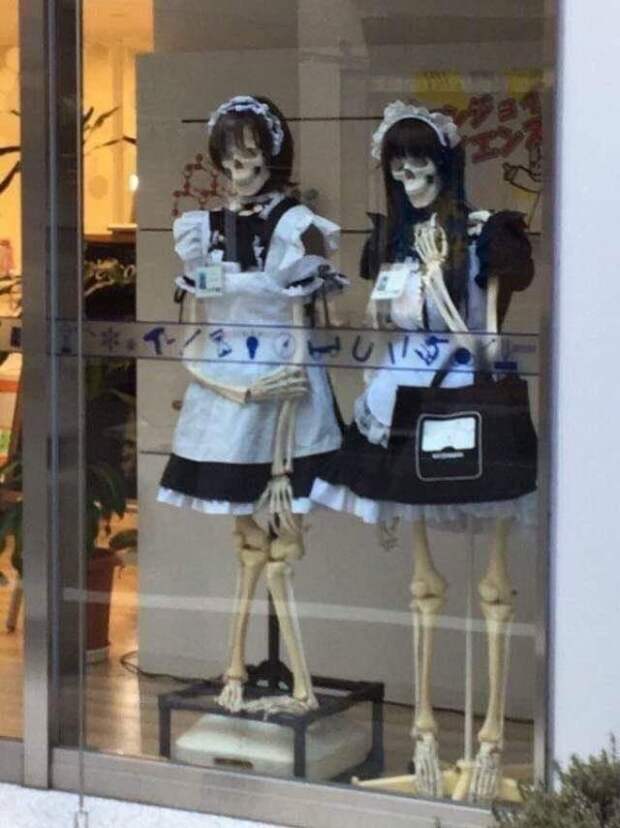 Скелеты