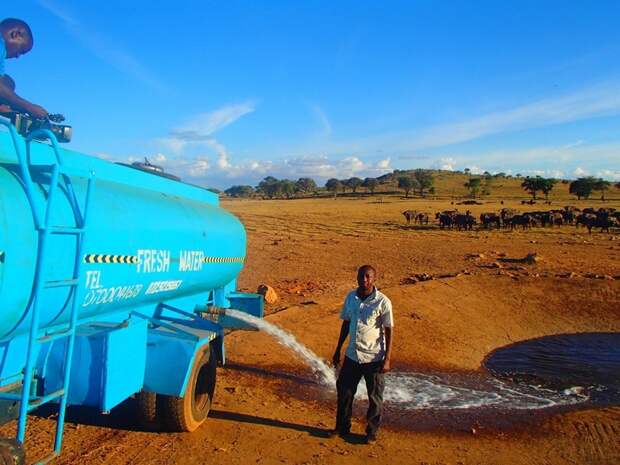 Без него они умрут: кениец каждый день возит воду изнывающим от жажды диким животным