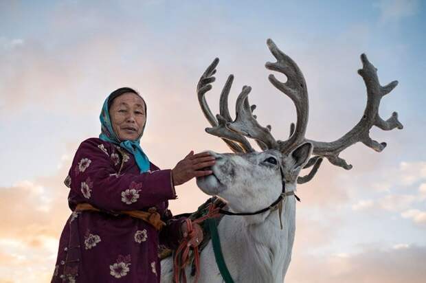 Один день из жизни монгольской семьи оленеводов люди, оленевод, семья