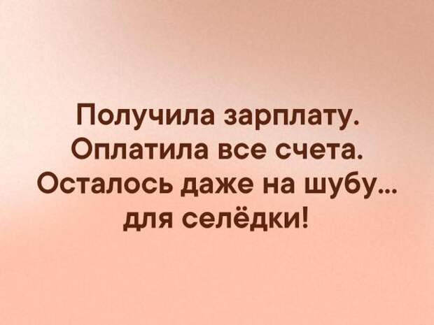 Едет мужик на старом запорожце, смотрит, впереди мерс 600...