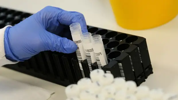 В Оренбургской области подтвердили 356 случаев COVID-19 за сутки