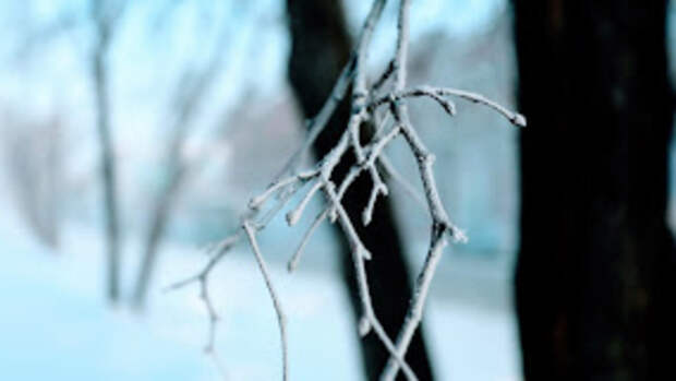 Близко к режиму. Синоптики сообщили, стоит ли ждать погодных сюрпризов в ближайшие месяцы