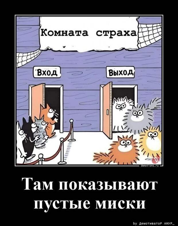 Демотиваторы – приколы: «Всю жизнь мечтал о „шестёрке“» (20 фото)