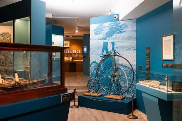 Выставка «Романовы. Из Петергофа в Москву»