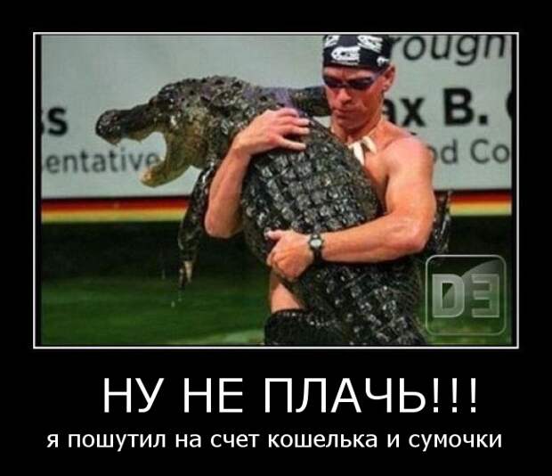 Смешные-демотиваторы-про-животных