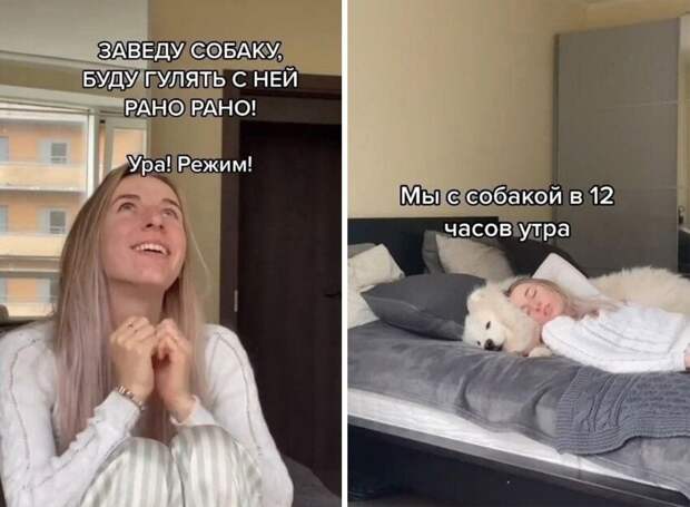Испортила такую собаку! Испортила такую собаку!