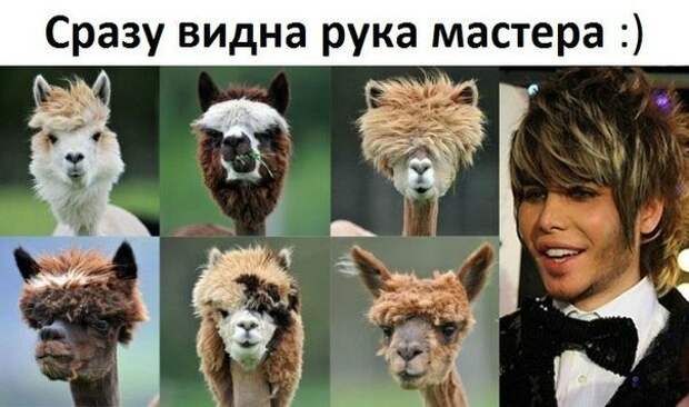 Всё в кучу 6
