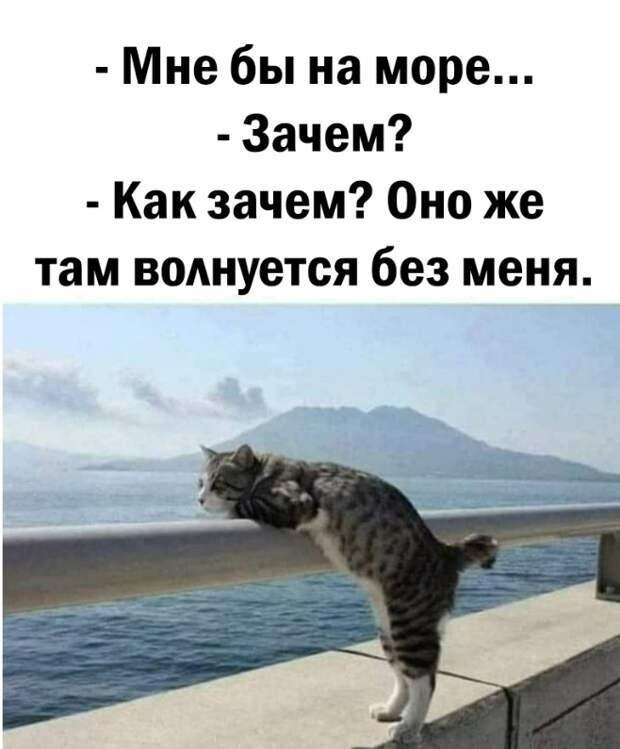 Юмор из интернета 598
