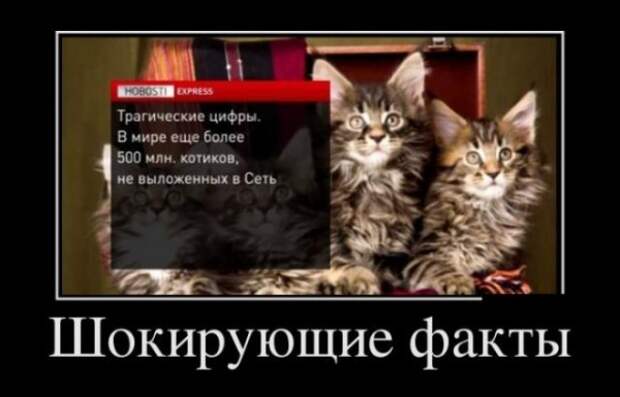Пятничная солянка смешных картинок и ржачных демотиваторов (15 фото) Пятничная солянка смешных картинок и ржачных демотиваторов (15 фото)
