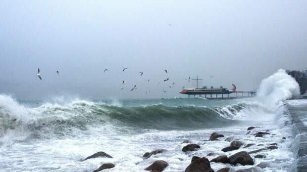 Власти Сочи прокомментировали сообщения о «шторме века» с ветром до 34 м/с