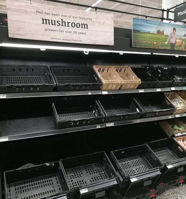 Почти как в СССР: британцы узнали, что такое продуктовый дефицит