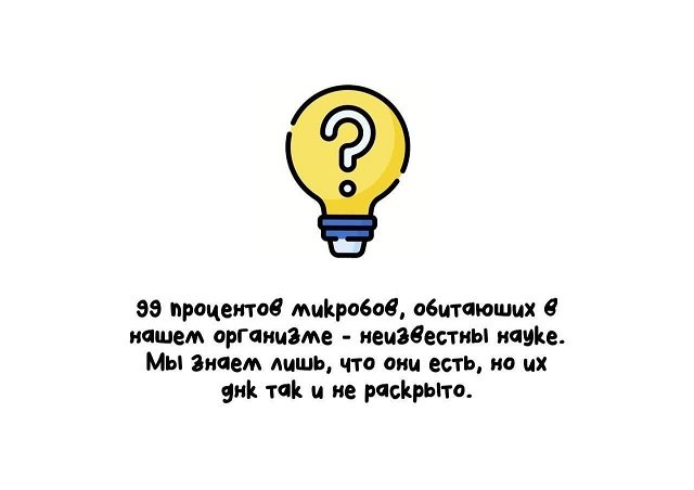 Подборка коротких интересных фактов на все случаи жизни