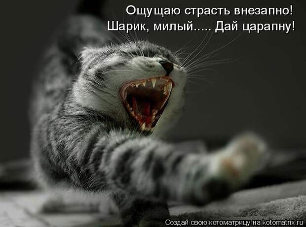 Мысли вслух :)
