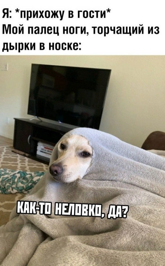 Палец Палец