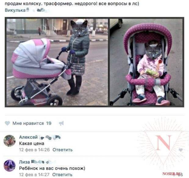 Похож)