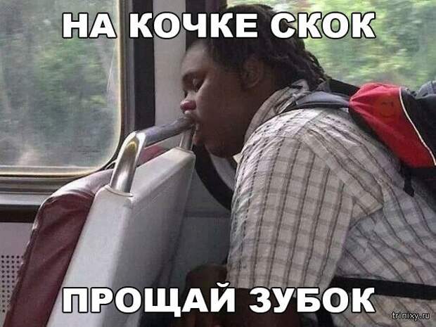 Смешные картинки с надписями