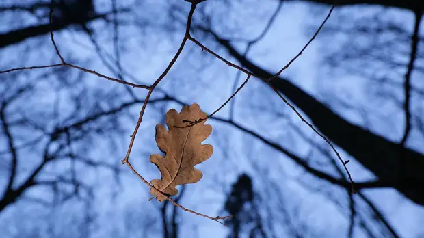 Тишковец рассказал, когда в Москву придет потепление
